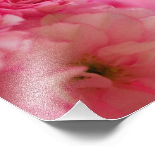 Cherry Blossom Fotodruck (Ecke)