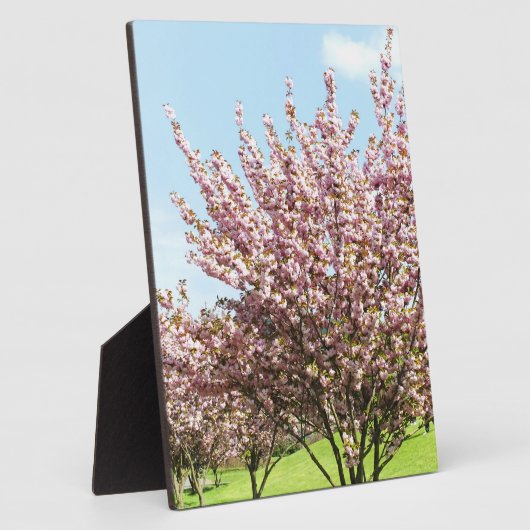 Cherry Blossom Fotoplatte (Seite)