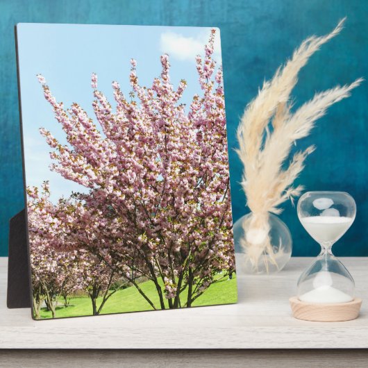 Cherry Blossom Fotoplatte (Seite)