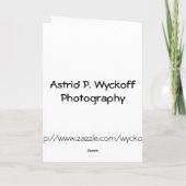 Cherry Blossom Grußkarte Karte (Rückseite)