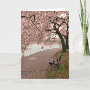 Cherry Blossom Grußkarte Karte