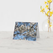 Cherry Blossom Grußkarte Mesmerisieren Karte (Gelbe Blume)