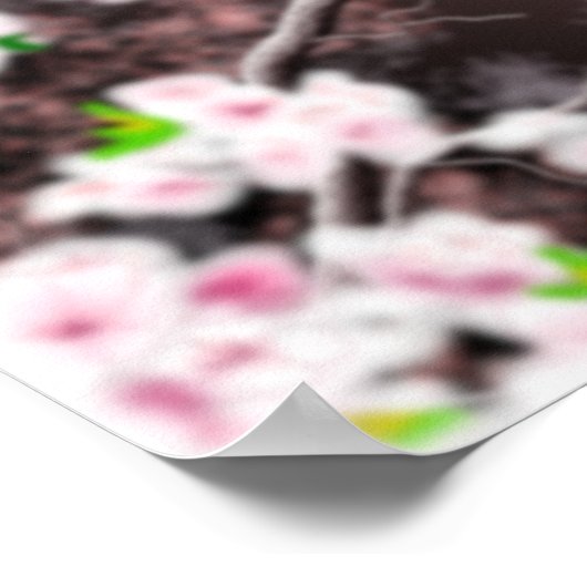 Cherry Blossom Haven Print Poster (Ecke)