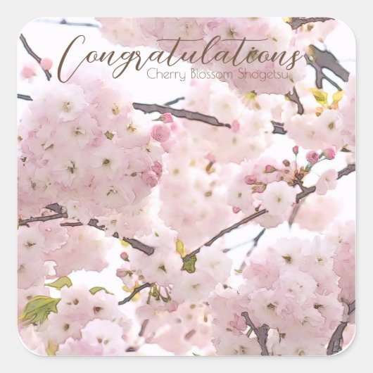 Cherry Blossom "Hayashi-ichigo" スクエアシール Quadratischer Aufkleber (Vorderseite)