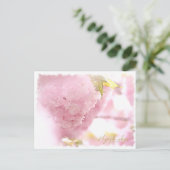 Cherry Blossom "Hayashi-ichigo" ポストカード Postkarte (Stehend Vorderseite)