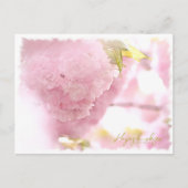 Cherry Blossom "Hayashi-ichigo" ポストカード Postkarte (Vorderseite)