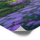 Cherry Blossom Hideaway Poster (Ecke)