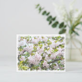 Cherry Blossom "Ichiyo" Postkarte (Stehend Vorderseite)