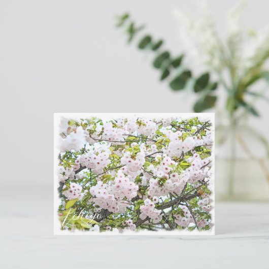Cherry Blossom "Ichiyo" Postkarte (Stehend Vorderseite)