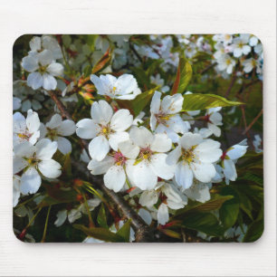 Cherry Blossom II Mousepad
