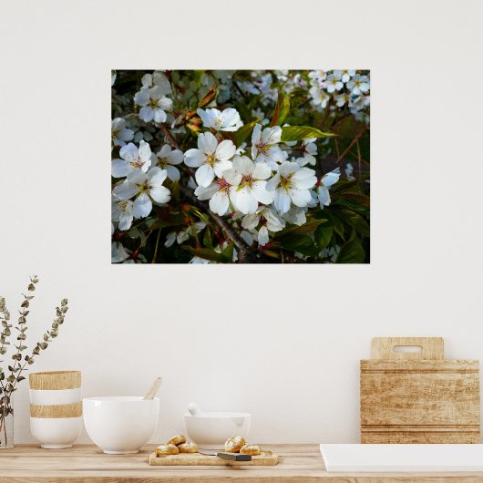 Cherry Blossom II Poster (Küche)
