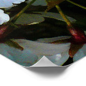 Cherry Blossom II Poster (Ecke)