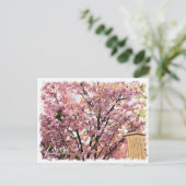Cherry Blossom "Imose" ポストカード Postkarte (Stehend Vorderseite)
