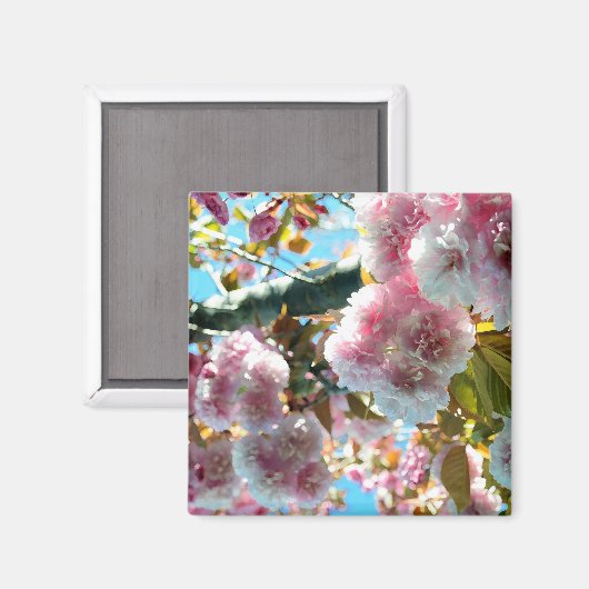 Cherry Blossom Impression Magnet (Vorderseite/Rückseite)