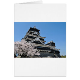 Cherry Blossom in Japan