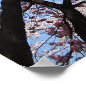 Cherry Blossom: Japan Poster (Ecke)