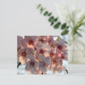 Cherry Blossom: Japan Postkarte (Stehend Vorderseite)