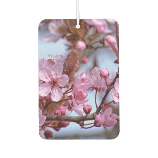 Cherry Blossom Japanisch Autolufterfrischer (Vorderseite)