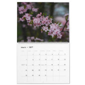 Cherry Blossom Kalender (Mär 2027)