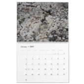 Cherry Blossom Kalender (Jan 2027)