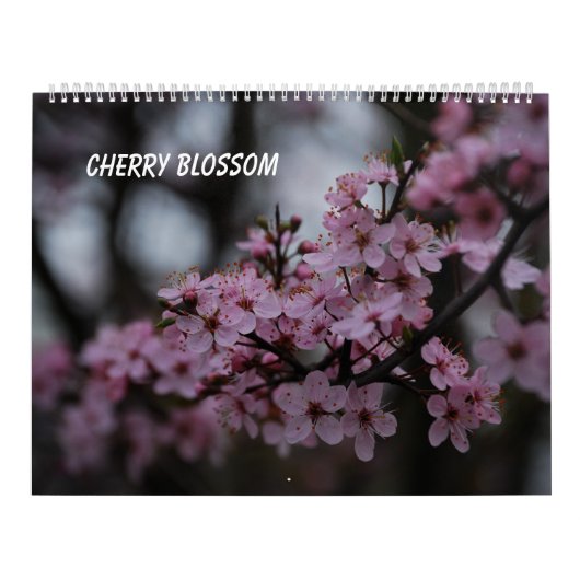 Cherry Blossom Kalender (Titelbild)