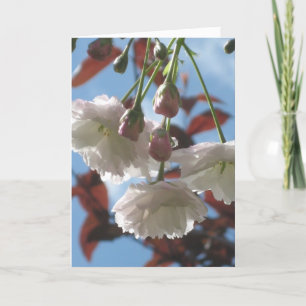 Cherry Blossom Karte