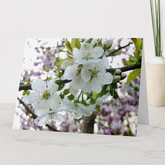 Cherry Blossom Karte (Vorderseite)