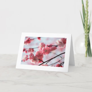 Cherry Blossom-Karte für jeden Anlass Karte