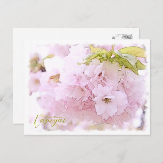 Cherry Blossom "Kasugai" ポストカード Postkarte (Vorne/Hinten)