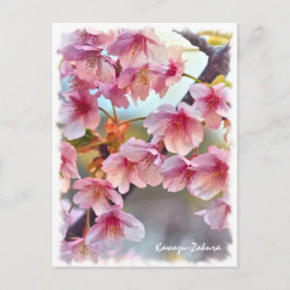 Cherry blossom: Kawazu-Zakura ポストカード Postkarte