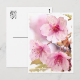 Cherry blossom: Kawazu-Zakura ポストカード Postkarte
