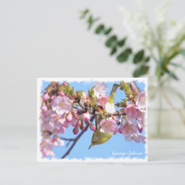Cherry blossom: Kawazu-Zakura ポストカード Postkarte