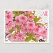 Cherry blossom "Kawazu-Zakura" Postkarte (Vorderseite)