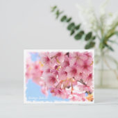 Cherry blossom: Kawazu-Zakura Postkarte (Stehend Vorderseite)