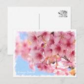Cherry blossom: Kawazu-Zakura Postkarte (Vorne/Hinten)