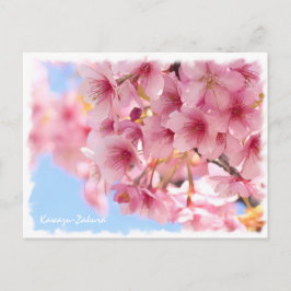 Cherry blossom: Kawazu-Zakura Postkarte