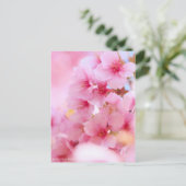Cherry Blossom "Kawazu-zakura":Postkarte Postkarte (Stehend Vorderseite)