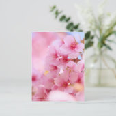 Cherry Blossom "Kawazu-zakura":Postkarte Postkarte (Stehend Vorderseite)