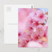 Cherry Blossom "Kawazu-zakura":Postkarte Postkarte (Vorne/Hinten)