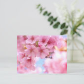 Cherry Blossom "Kawazu-zakura":Postkarte Postkarte (Stehend Vorderseite)