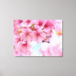 Cherry blossom"Kawazu-zakura"：Premium Canvas Leinwanddruck