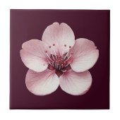 Cherry Blossom Keramik Tile Fliese (Vorderseite)