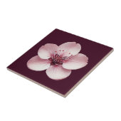 Cherry Blossom Keramik Tile Fliese (Seite)