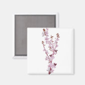 Cherry Blossom Kirschbaum 2 Magnet (Vorderseite/Rückseite)