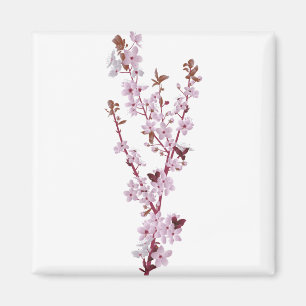Cherry Blossom Kirschbaum 2 Magnet