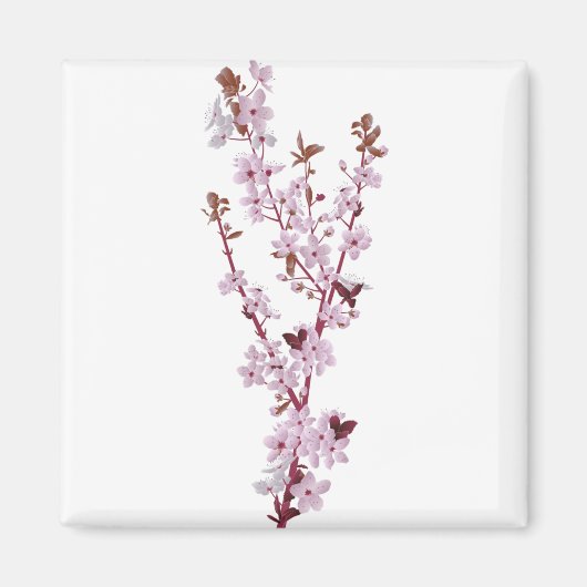 Cherry Blossom Kirschbaum 2 Magnet (Vorne)