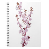 Cherry Blossom Kirschbaum 2 Notizblock (Vorderseite)