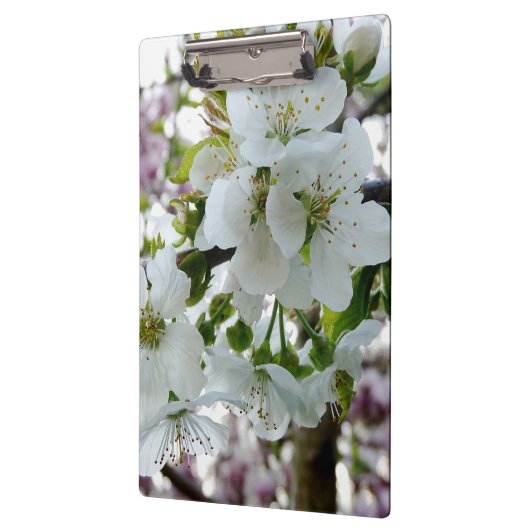 Cherry Blossom Klemmbrett (Links)