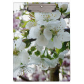 Cherry Blossom Klemmbrett (Vorderseite)