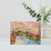 Cherry Blossom Koreanischer Frühling Postkarte (Stehend Vorderseite)